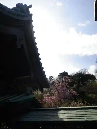 長谷寺のその他建物