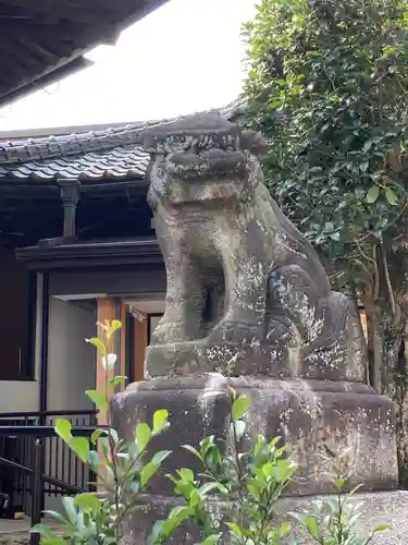 狭山八幡神社の狛犬