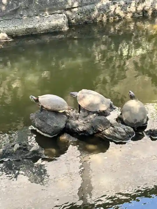 磐井神社(東京都)