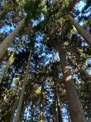 山宮浅間神社(静岡県)