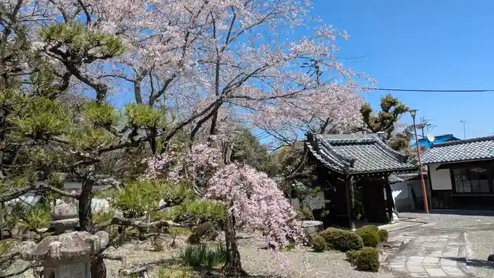 安養院(滋賀県)