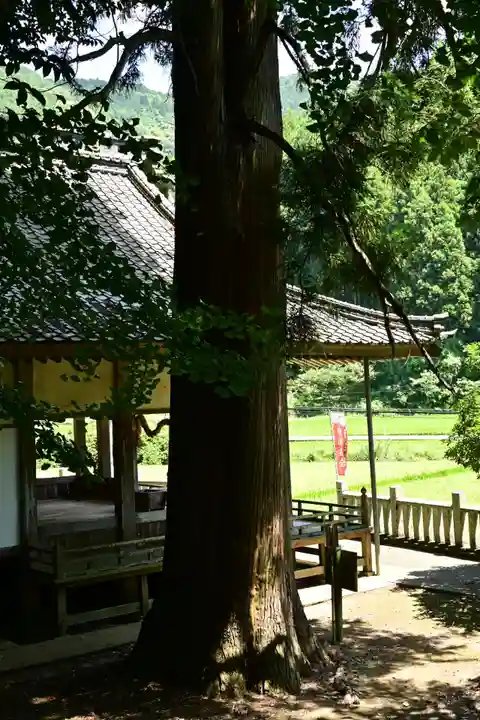 烏帽子杜三島神社(愛媛県)