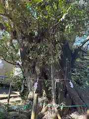 九重神社(埼玉県)