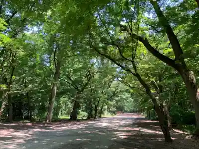 賀茂御祖神社（下鴨神社）の周辺