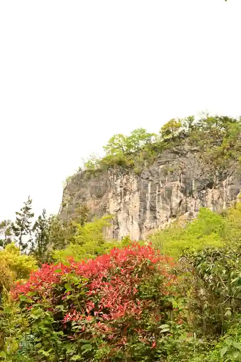 橋立堂(埼玉県)