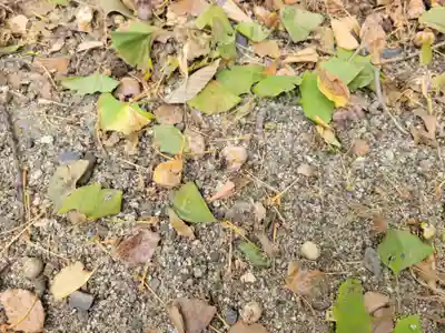 水天宮(愛媛県)