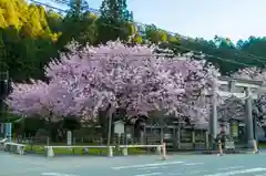 春日神社の自然