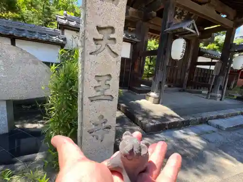 伊勢の国 四天王寺のその他建物