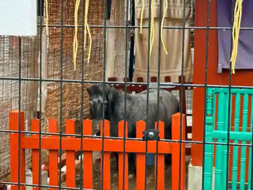 神田神社（神田明神）の{uncategorized: "未分類", other: "その他", undefined: "問題あり", building: "その他建物", grave: "お墓", sacred_gate: "鳥居", guardian: "狛犬", statue: "像", buddha: "仏像", history: "歴史", nature: "自然", garden: "庭園", animal: "動物", pagoda: "塔", temizu: "手水舎", mountain_gate: "山門・神門", sanctuary: "本殿・本堂", subordinate: "末社・摂社", art: "芸術", scenery: "景色", jizo: "地蔵", ema: "絵馬", goshuin: "御朱印", omikuji: "おみくじ", items: "授与品その他", amulet: "お守り", goshuincho: "御朱印帳", eats: "食事", festival: "お祭り", votive_dance: "神楽", shichigosan: "七五三参", wedding: "結婚式", experience: "体験その他", initially: "初詣", around: "周辺", anti_infection: "感染症対策"}