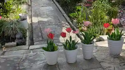 西方寺(京都府)