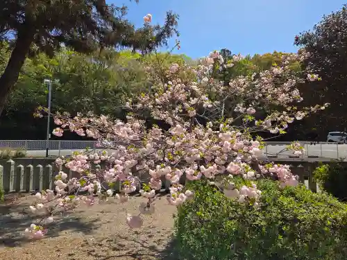 日岡神社の自然