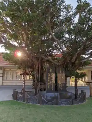 沖縄県護国神社(沖縄県)