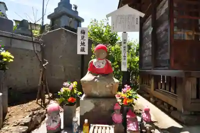 善楽寺(高知県)