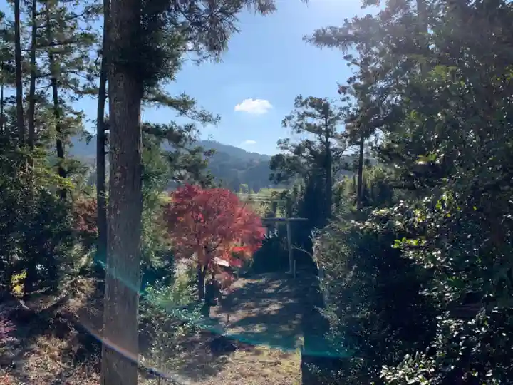 伊豫大明神の周辺