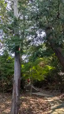 粟神社(京都府)