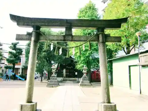 矢口氷川神社の鳥居