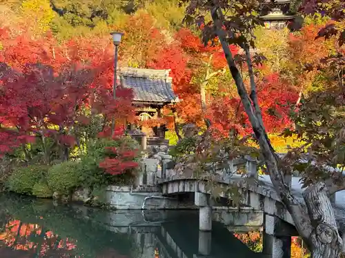 禅林寺（永観堂）(京都府)