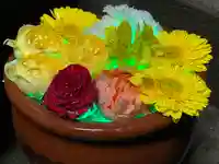 菅生神社(愛知県)