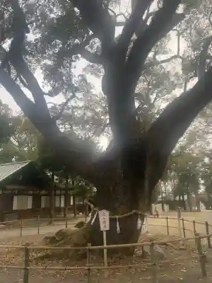 伊曽乃神社の{uncategorized: "未分類", other: "その他", undefined: "問題あり", building: "その他建物", grave: "お墓", sacred_gate: "鳥居", guardian: "狛犬", statue: "像", buddha: "仏像", history: "歴史", nature: "自然", garden: "庭園", animal: "動物", pagoda: "塔", temizu: "手水舎", mountain_gate: "山門・神門", sanctuary: "本殿・本堂", subordinate: "末社・摂社", art: "芸術", scenery: "景色", jizo: "地蔵", ema: "絵馬", goshuin: "御朱印", omikuji: "おみくじ", items: "授与品その他", amulet: "お守り", goshuincho: "御朱印帳", eats: "食事", festival: "お祭り", votive_dance: "神楽", shichigosan: "七五三参", wedding: "結婚式", experience: "体験その他", initially: "初詣", around: "周辺", anti_infection: "感染症対策"}