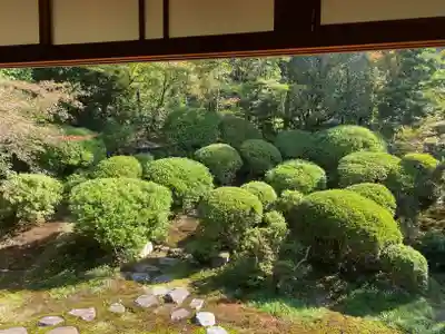 安楽寺(京都府)