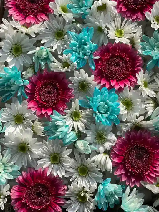 根岸八幡神社の手水舎