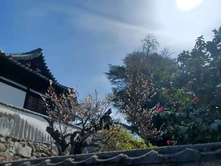 阿智神社(岡山県)