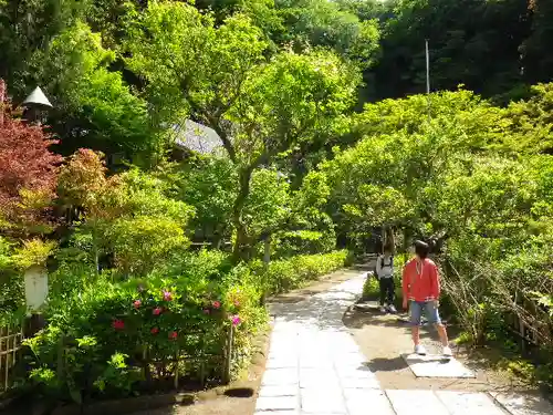 黄梅院（円覚寺塔頭）の庭園