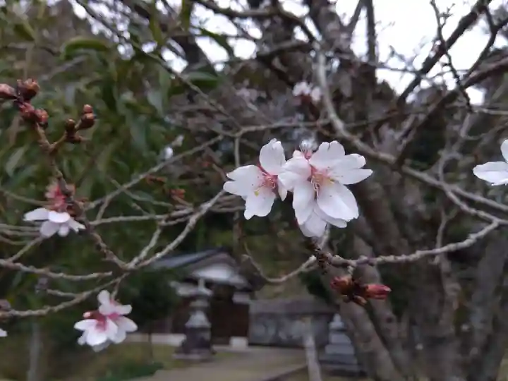 白山神社(石川県)