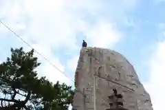 三津厳島神社の動物