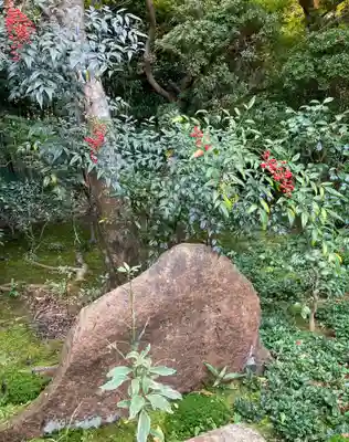 厭離庵(京都府)