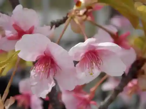 宝戒寺(神奈川県)
