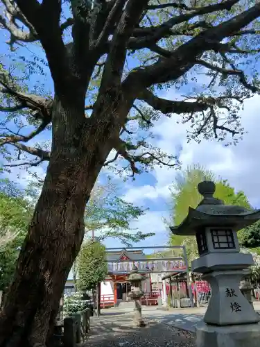 本町南町八幡神社(東京都)