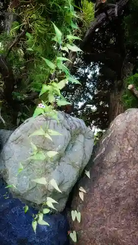 八龍社（稲島）の自然