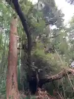 相馬高神社(千葉県)