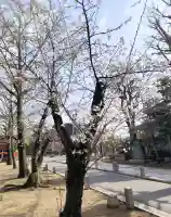 葛飾八幡宮の{uncategorized: "未分類", other: "その他", undefined: "問題あり", building: "その他建物", grave: "お墓", sacred_gate: "鳥居", guardian: "狛犬", statue: "像", buddha: "仏像", history: "歴史", nature: "自然", garden: "庭園", animal: "動物", pagoda: "塔", temizu: "手水舎", mountain_gate: "山門・神門", sanctuary: "本殿・本堂", subordinate: "末社・摂社", art: "芸術", scenery: "景色", jizo: "地蔵", ema: "絵馬", goshuin: "御朱印", omikuji: "おみくじ", items: "授与品その他", amulet: "お守り", goshuincho: "御朱印帳", eats: "食事", festival: "お祭り", votive_dance: "神楽", shichigosan: "七五三参", wedding: "結婚式", experience: "体験その他", initially: "初詣", around: "周辺", anti_infection: "感染症対策"}