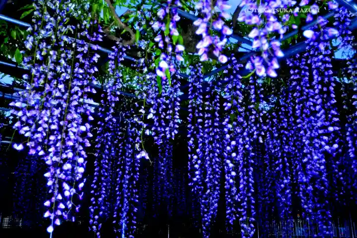 白旗神社(神奈川県)