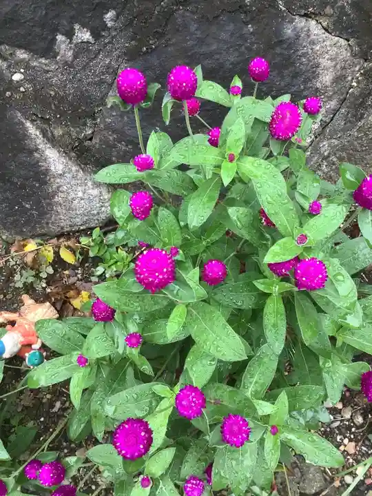 玉野御嶽神社の自然