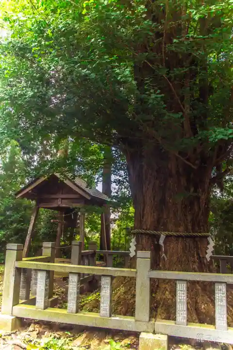 伊達神社(宮城県)