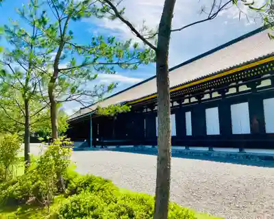 蓮華王院(三十三間堂)の本殿・本堂