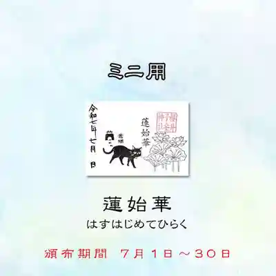 ミニ御朱印　竈猫　令和7年7月