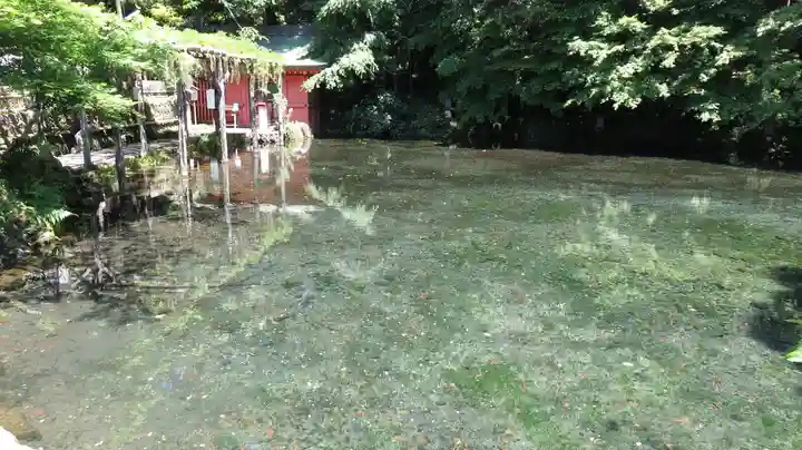 富士山本宮浅間大社の庭園