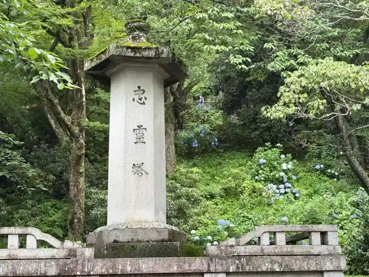 長谷寺(奈良県)