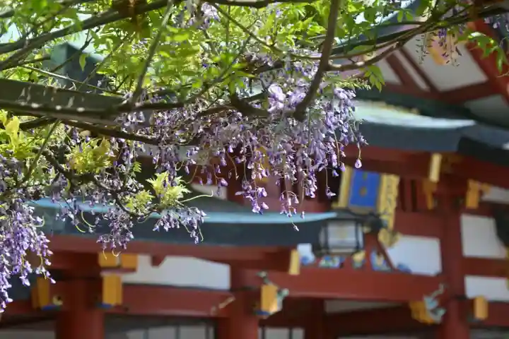 日枝神社のその他建物