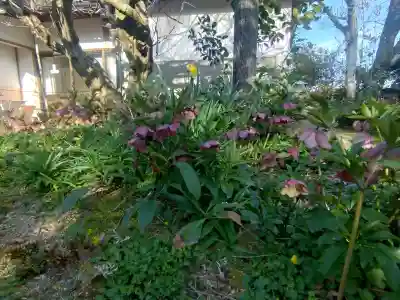 子安地蔵寺の{uncategorized: "未分類", other: "その他", undefined: "問題あり", building: "その他建物", grave: "お墓", sacred_gate: "鳥居", guardian: "狛犬", statue: "像", buddha: "仏像", history: "歴史", nature: "自然", garden: "庭園", animal: "動物", pagoda: "塔", temizu: "手水舎", mountain_gate: "山門・神門", sanctuary: "本殿・本堂", subordinate: "末社・摂社", art: "芸術", scenery: "景色", jizo: "地蔵", ema: "絵馬", goshuin: "御朱印", omikuji: "おみくじ", items: "授与品その他", amulet: "お守り", goshuincho: "御朱印帳", eats: "食事", festival: "お祭り", votive_dance: "神楽", shichigosan: "七五三参", wedding: "結婚式", experience: "体験その他", initially: "初詣", around: "周辺", anti_infection: "感染症対策"}