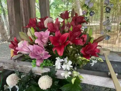 彌彦神社　(伊夜日子神社)の手水舎