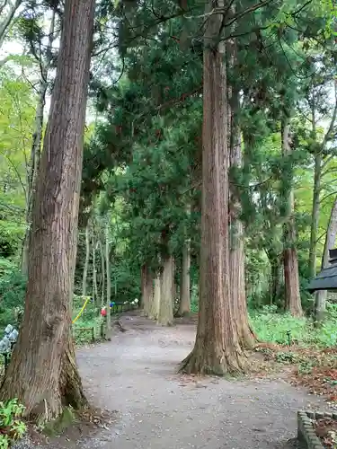 十和田神社の周辺