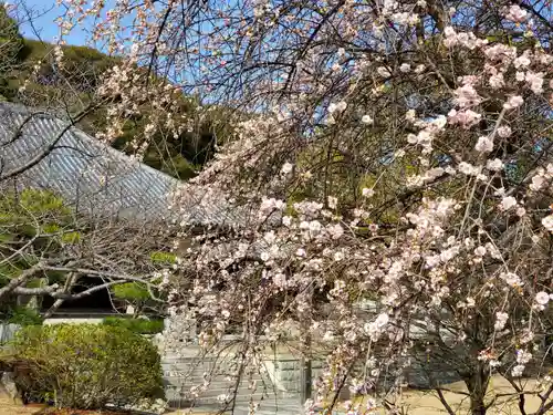 轉法輪寺の自然