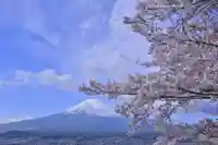 新倉富士浅間神社(山梨県)