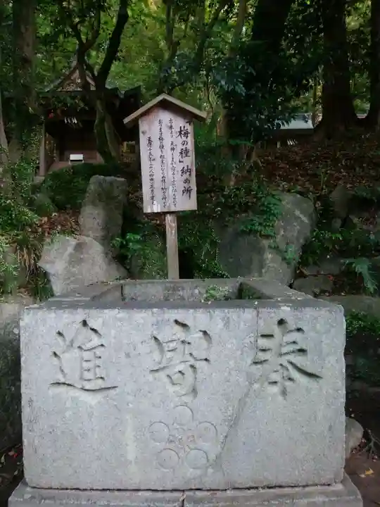 太宰府天満宮(福岡県)