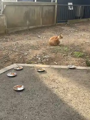前原御嶽神社の{uncategorized: "未分類", other: "その他", undefined: "問題あり", building: "その他建物", grave: "お墓", sacred_gate: "鳥居", guardian: "狛犬", statue: "像", buddha: "仏像", history: "歴史", nature: "自然", garden: "庭園", animal: "動物", pagoda: "塔", temizu: "手水舎", mountain_gate: "山門・神門", sanctuary: "本殿・本堂", subordinate: "末社・摂社", art: "芸術", scenery: "景色", jizo: "地蔵", ema: "絵馬", goshuin: "御朱印", omikuji: "おみくじ", items: "授与品その他", amulet: "お守り", goshuincho: "御朱印帳", eats: "食事", festival: "お祭り", votive_dance: "神楽", shichigosan: "七五三参", wedding: "結婚式", experience: "体験その他", initially: "初詣", around: "周辺", anti_infection: "感染症対策"}
